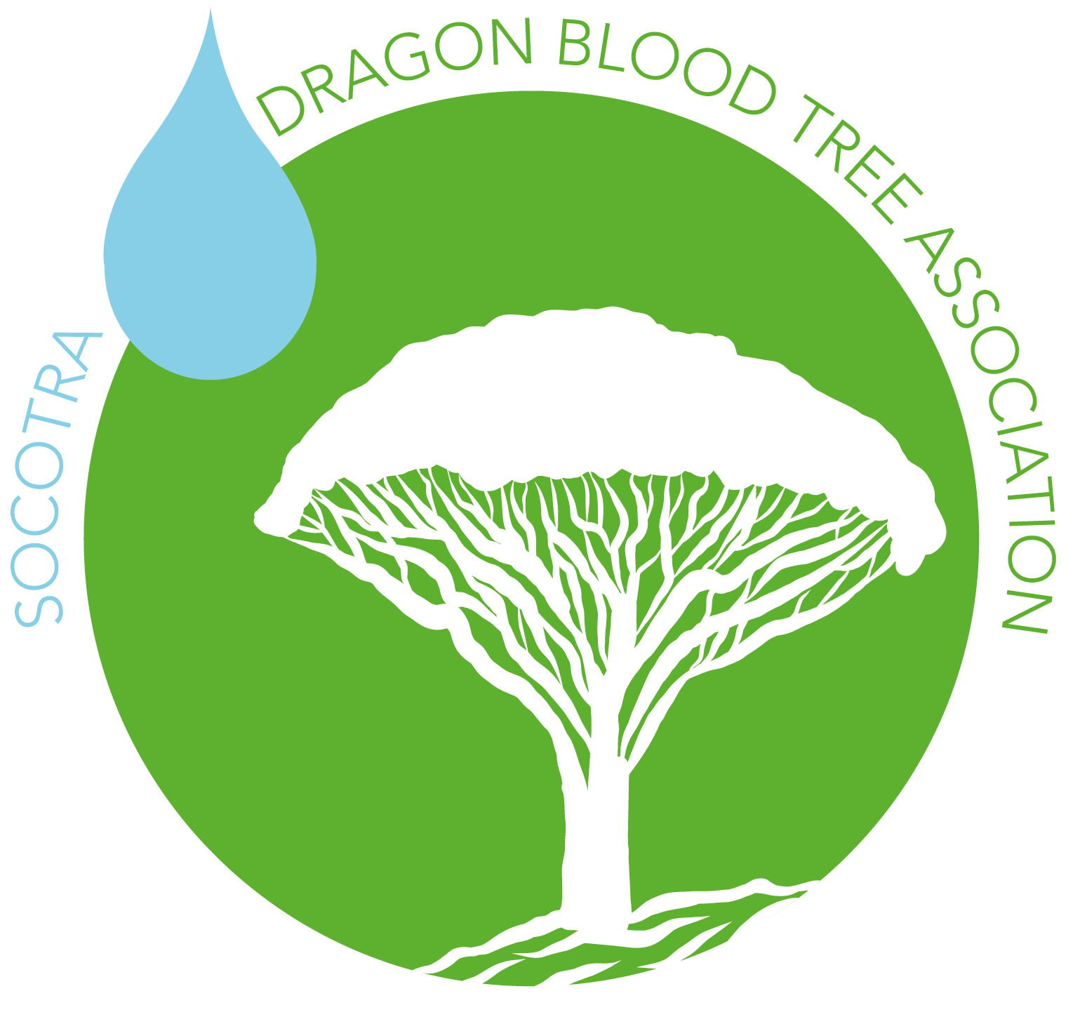 Socotra Dragon Blood Tree Association