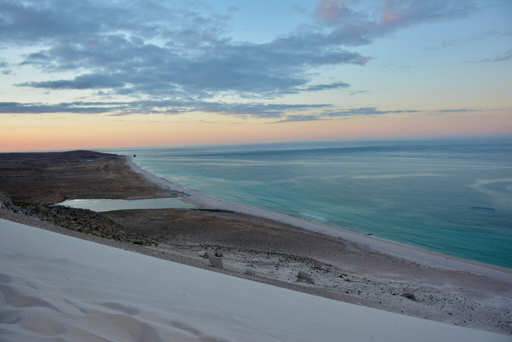 Socotra Forever | Delisha