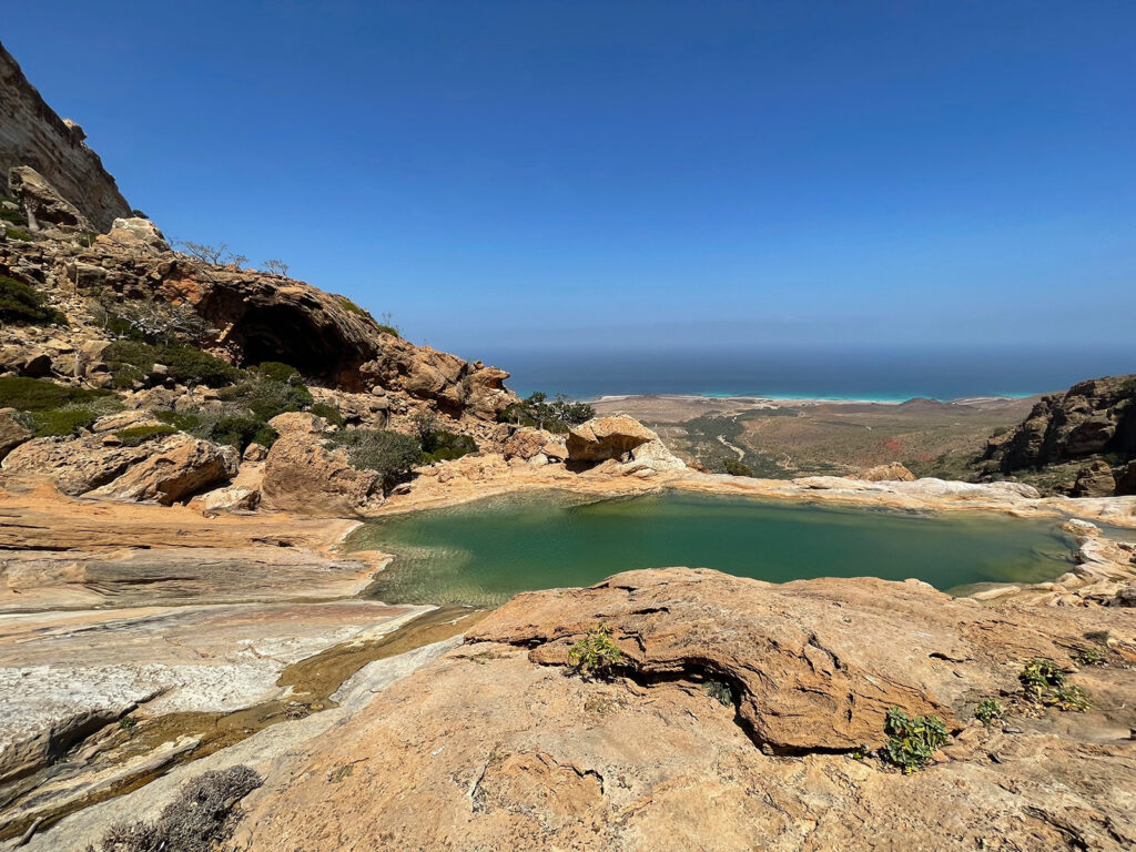 Socotra Forever | Homhil Plateau (Nature Sanctuary)