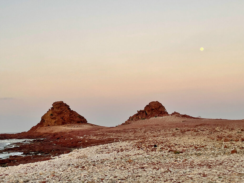 Socotra Forever | Dihamri Marine Nature Sanctuary