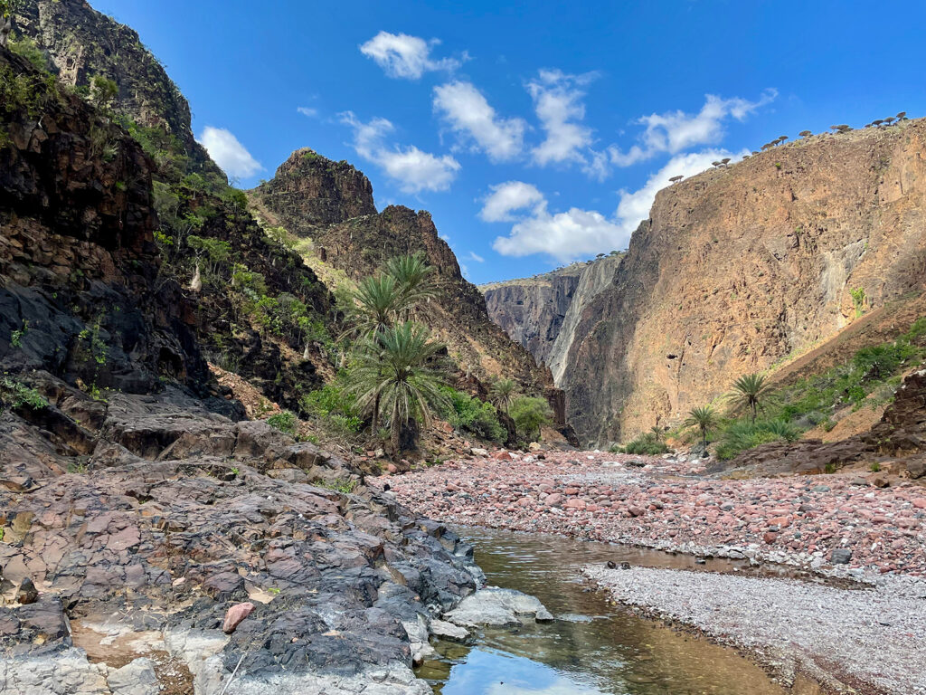 Socotra Forever | Wadi Dirhur