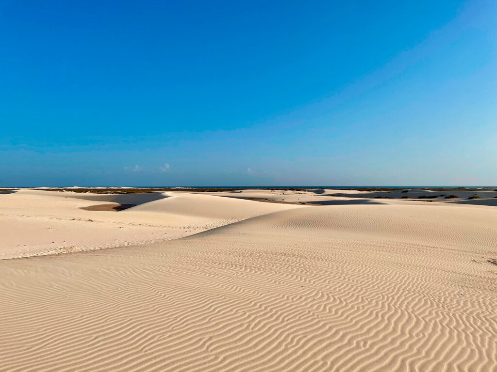 Socotra Forever | Zahek Dunes