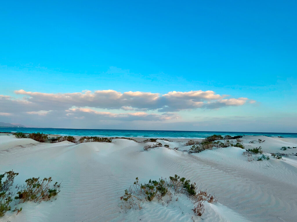 Socotra Forever | Aomak Beach