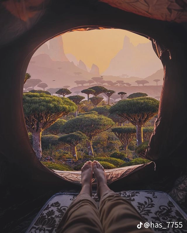 Classic Socotra Tour