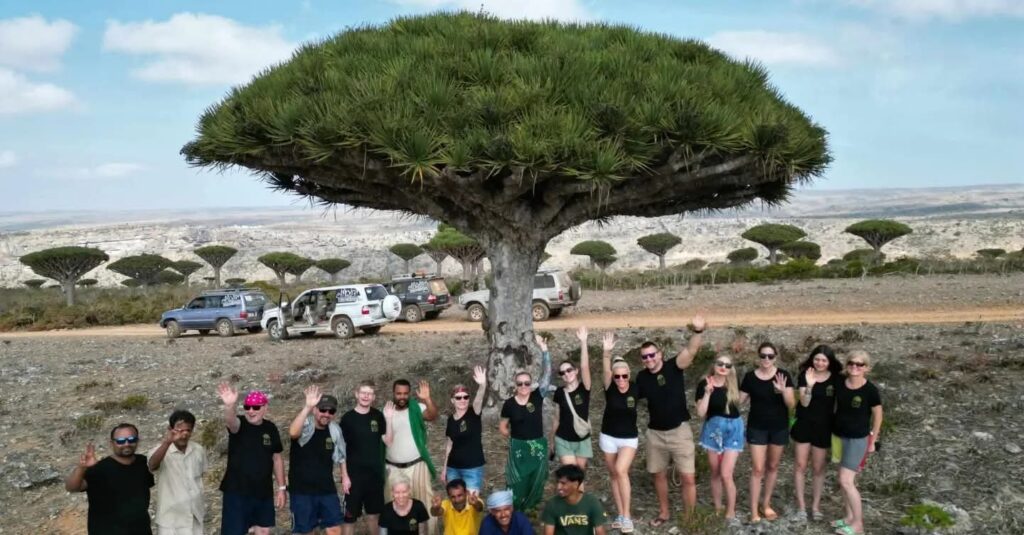 Classic Socotra Tour