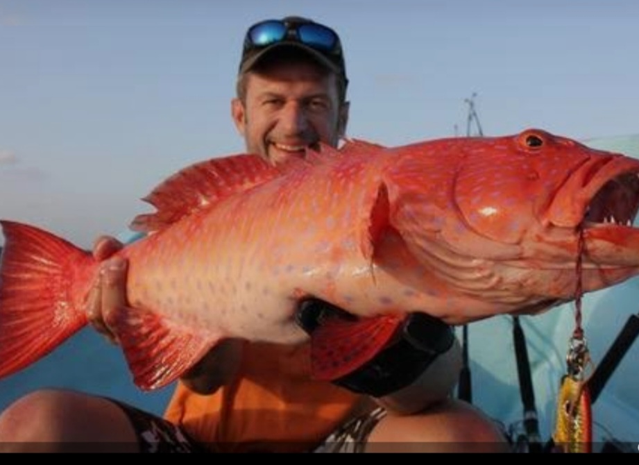 screenshot 20260628 195700 google[1]