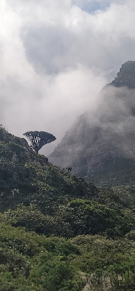1000626151[1]