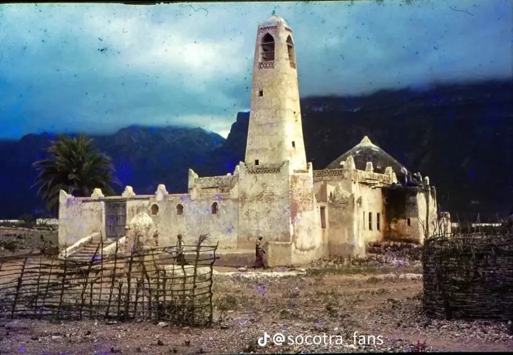 Découvrez le paradis préservé de Socotra avec Socotra Forever 1341fb0a95274886cf55a31feaeb54f0