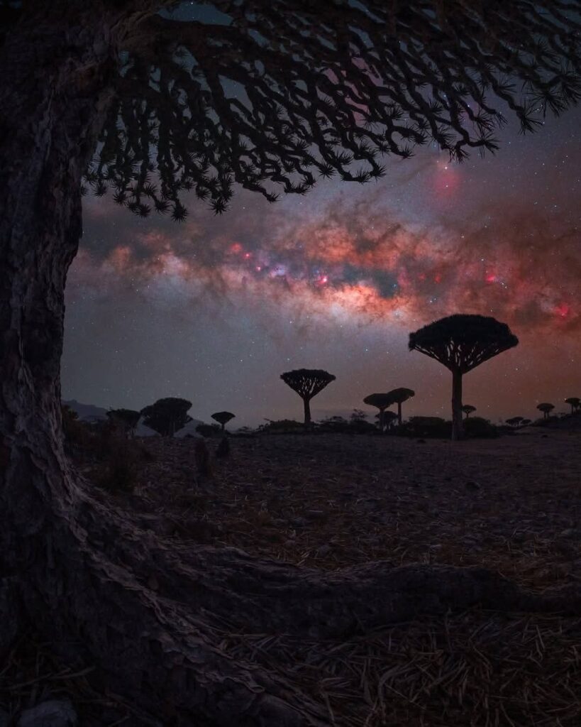 Socotra Adventure: Discover One of the World’s Most Extraordinary Islands fb img 1749741723063