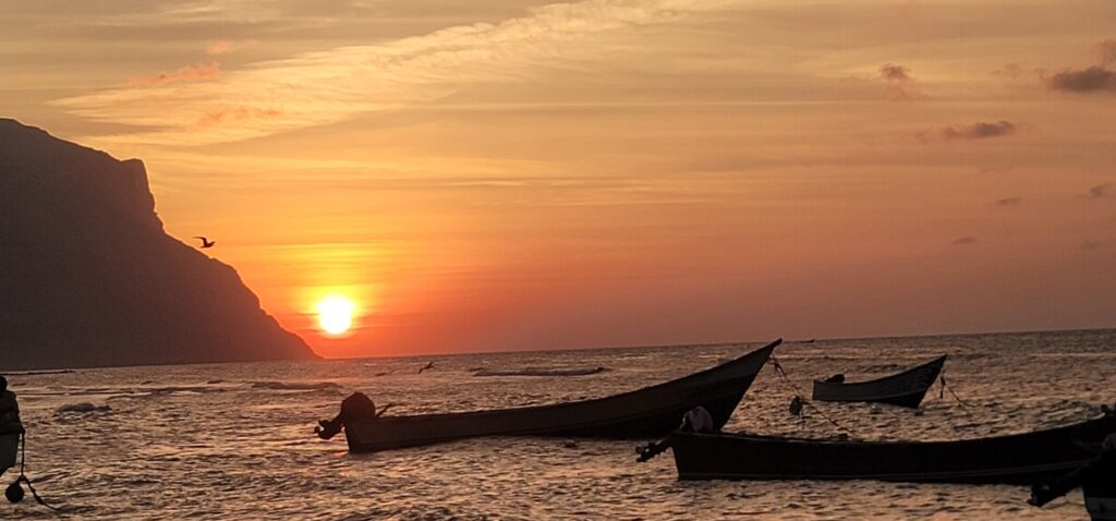 Découvrez le paradis préservé de Socotra avec Socotra Forever ٢٠٢٥٠١١٩ ١٧١٦٠٨